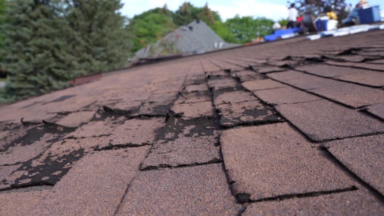 Best Roof Installation  in Morristown, IN